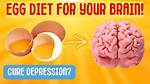 Does Egg Improve Brain