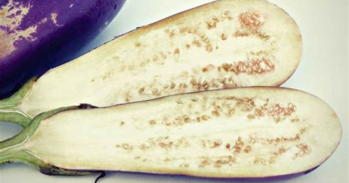 Does Eggplant Have Egg