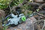 Does Ego Make a Chainsaw