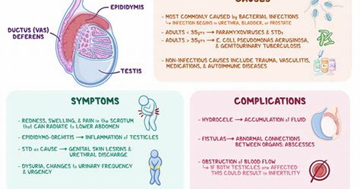 Does Ejaculating Hurt Epididymitis