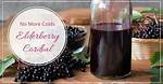 Does Elderberry Prevent Flu?