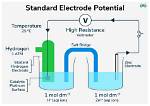 Does Electrode Size Affect Potential?