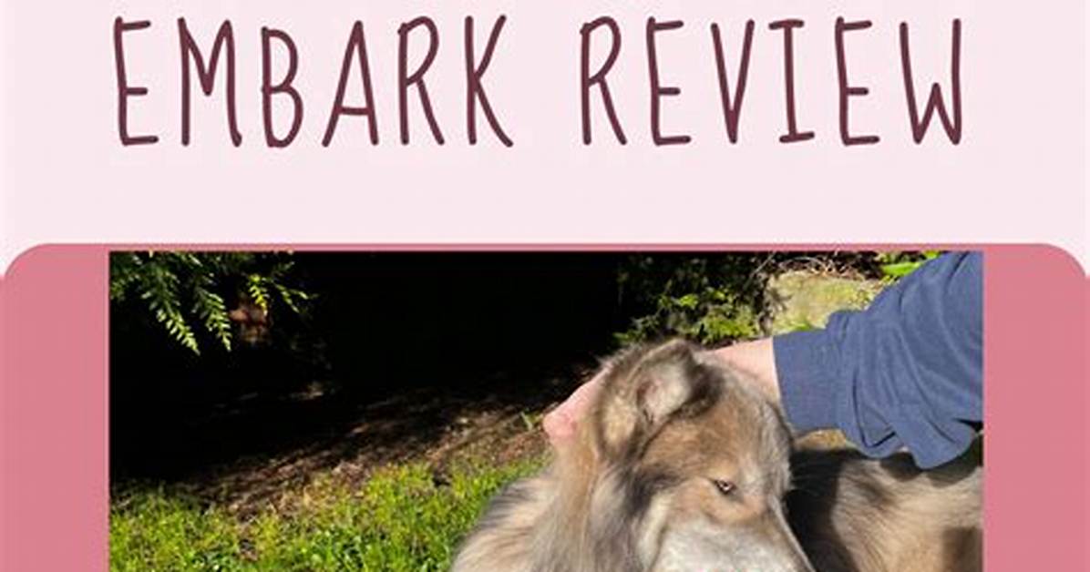 Does Embark Test for Wolf?