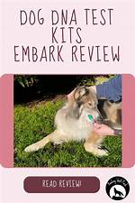 Does Embark Test for Wolf?