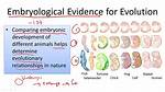 Does Embryology Support Evolution?