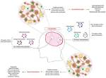 Does Encephalitis Cause Seizures?