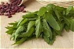 Does Epazote Reduce Gas