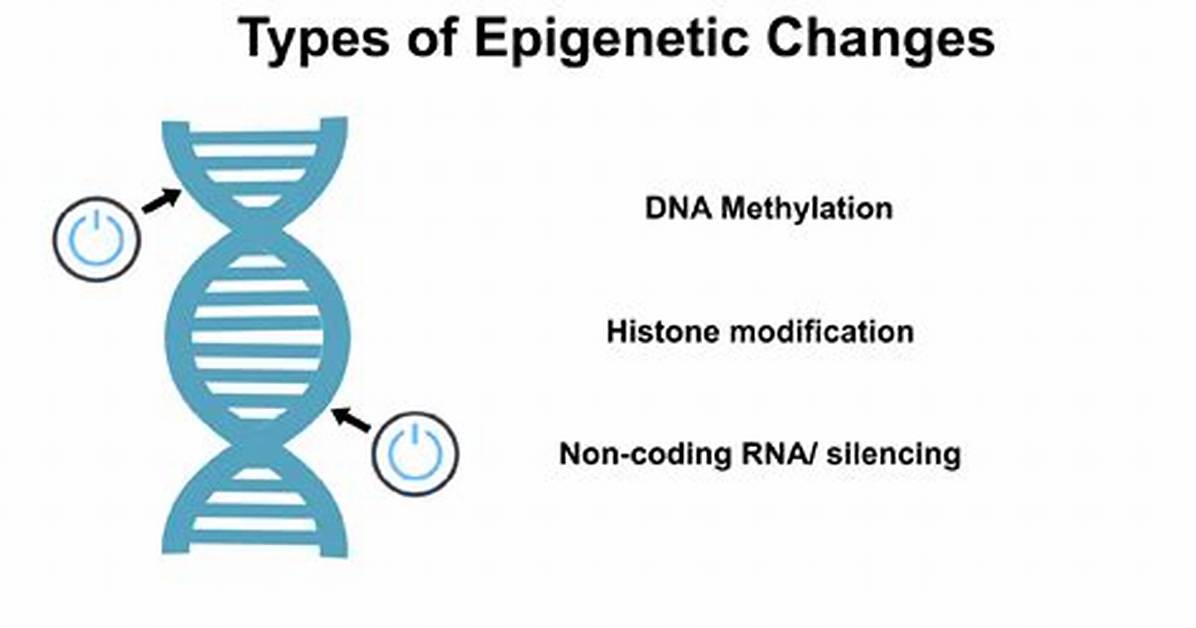 Does Epigenetics Change Phenotype?