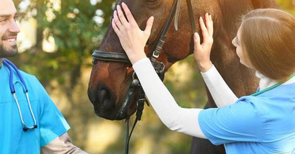 Does Equine Therapy Work?