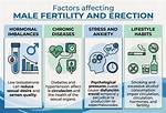 Does Erectile Dysfunction Affect Sperm Count?