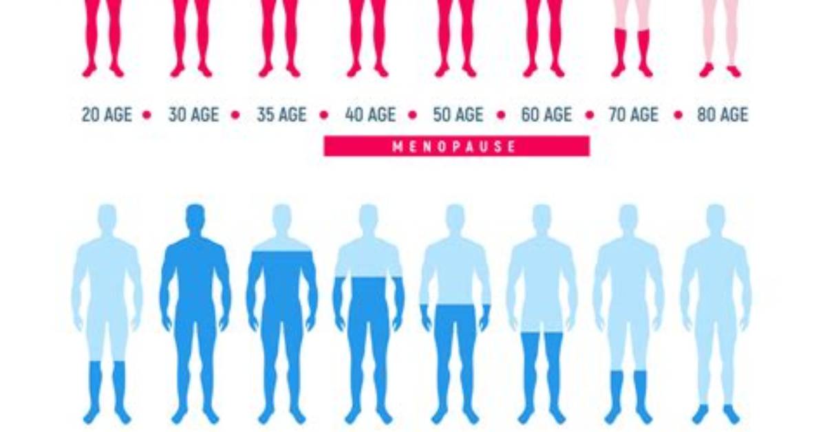Does Estrogen Lower Testosterone?