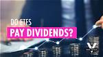 Does Etr Pay Dividends?