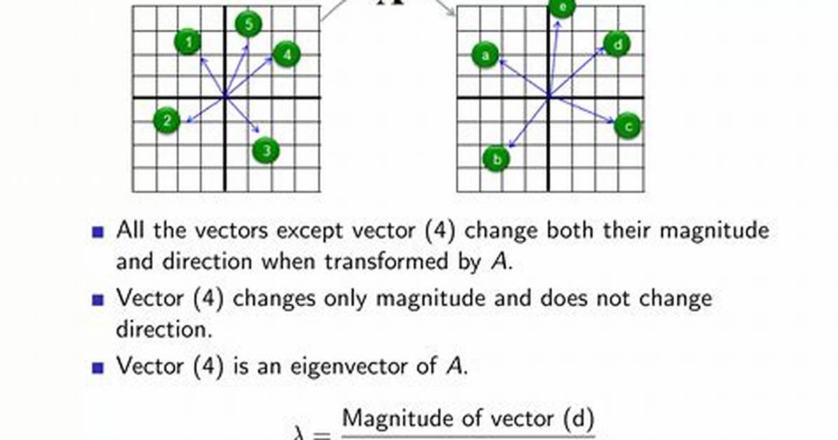 Does Every Linear Transformation Have an Eigenvector?