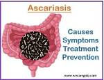 Does Everyone Have Ascariasis?