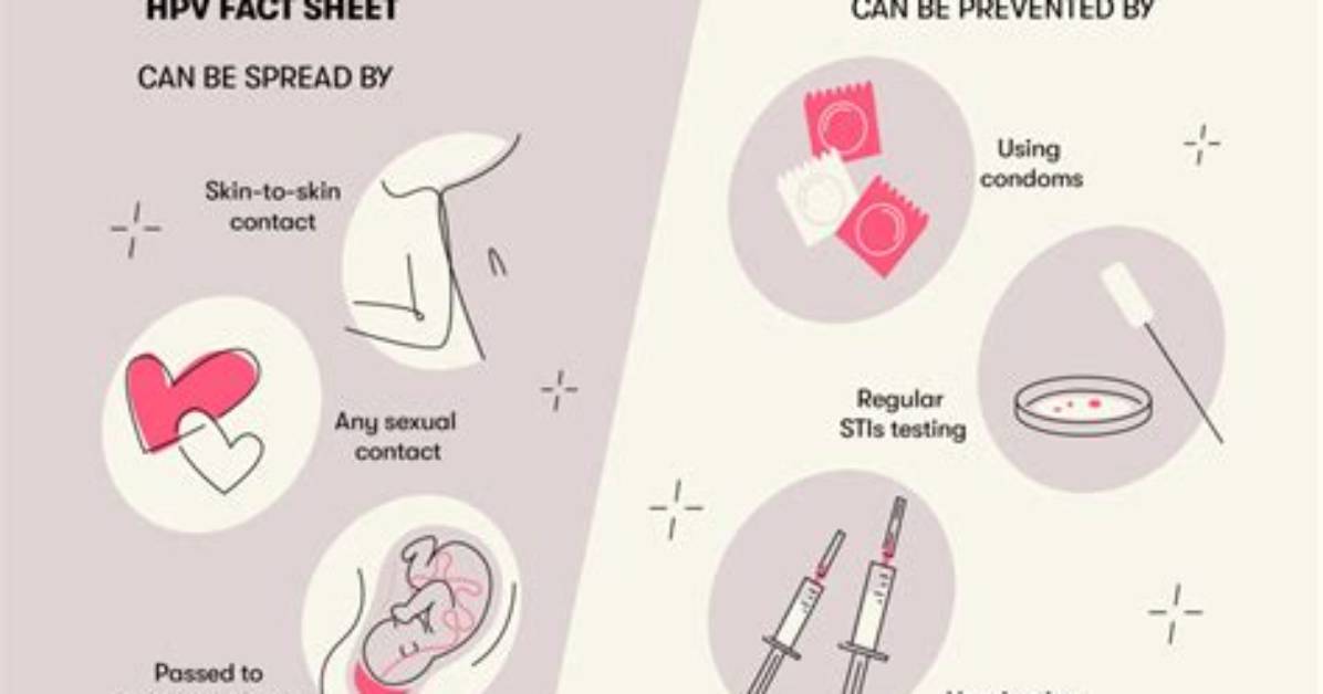 Does Everyone Have Hpv?