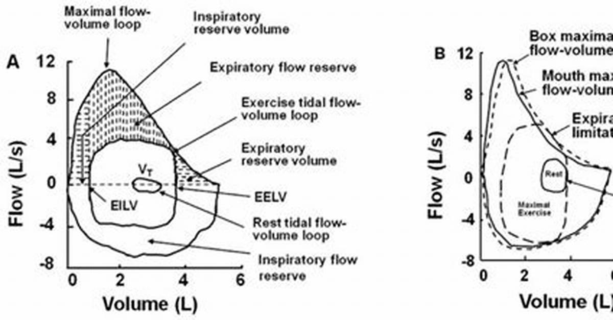 Does Exercise Affect Expiratory Flow?