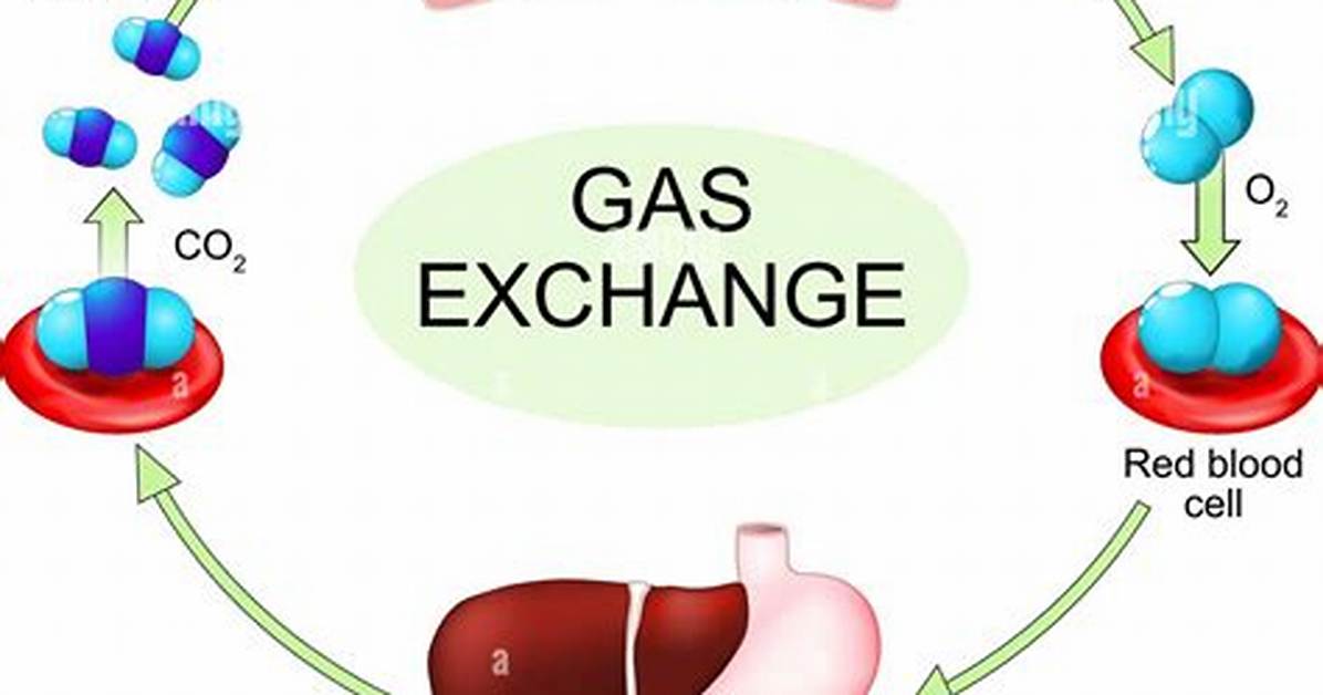 Does Explosion Need Oxygen?