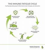 Does Fatigue Affect Immune System?