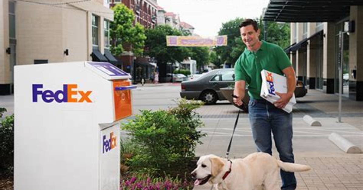 Does Fedex Ship Dogs? | Contextresponse. Com