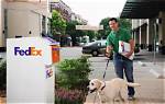 Does Fedex Ship Dogs? | Contextresponse. Com