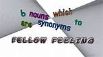 Does Fellow Feeling Mean?
