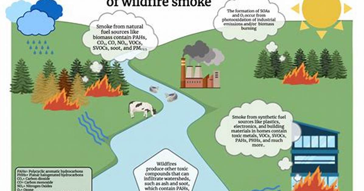 Does Fire Cause Death?
