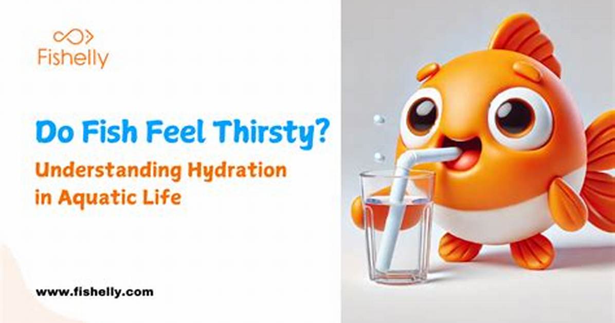 Does Fish Get Thirsty?