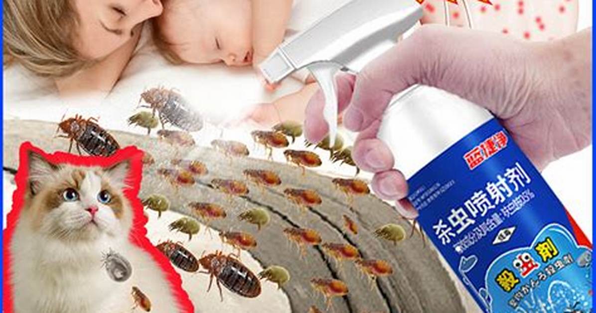 Does Flea Spray Kill Bed Bugs?