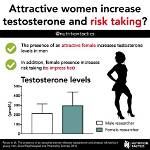 Does Flirting Increase Testosterone