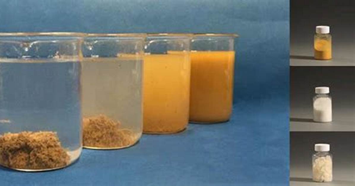 Does Flocculant Work on Algae?
