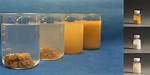 Does Flocculant Work on Algae?