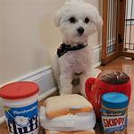 Does Fluffernutter Go Bad?