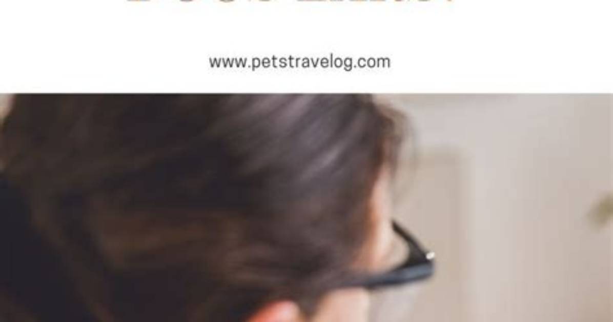 Does Flying Traumatize Dogs?