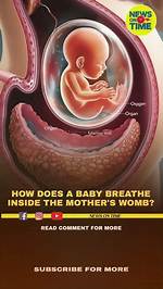 Does Foetus Breathe Inside Womb?