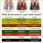 Does Foot Detox Work