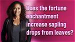 Does Fortune Increase Sapling Drops?