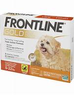 Does Frontline Gold Kill Fleas?