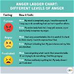 Does Frustrated Mean Angry?