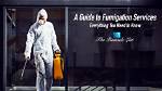 Does Fumigation Affect Books?