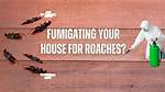 Does Fumigation Kill Roaches?