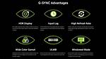 Does G Sync Matter?