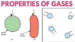 Does Gas Have a Shape?