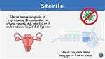 Does Getting Sterilised Hurt?
