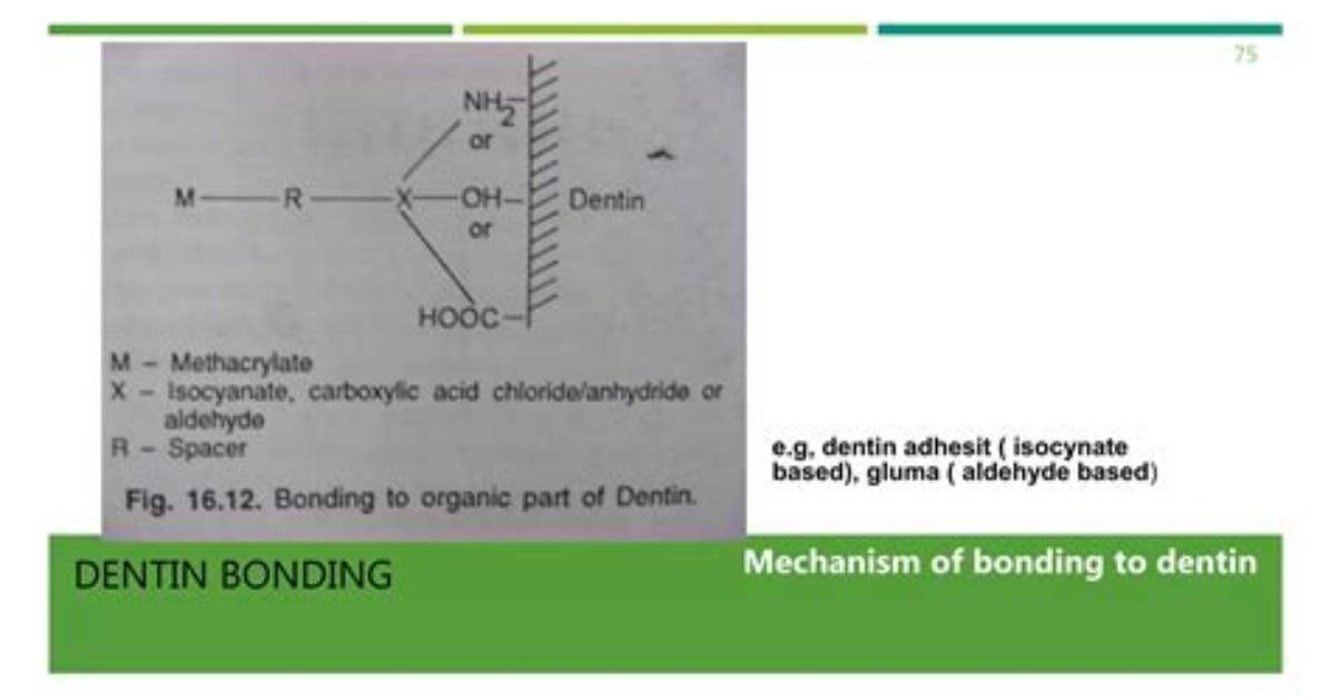 Does Gluma Interfere with Bonding?