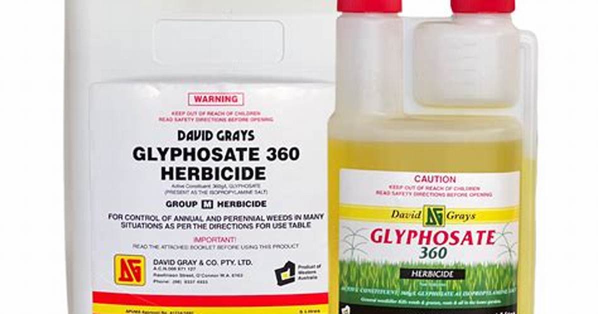 Does Glyphosate 360 Kill Grass?
