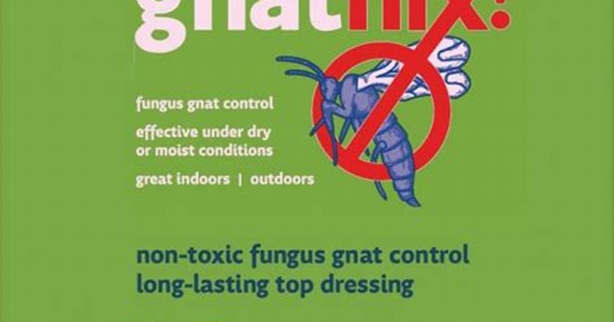 Does Gnat Nix Work