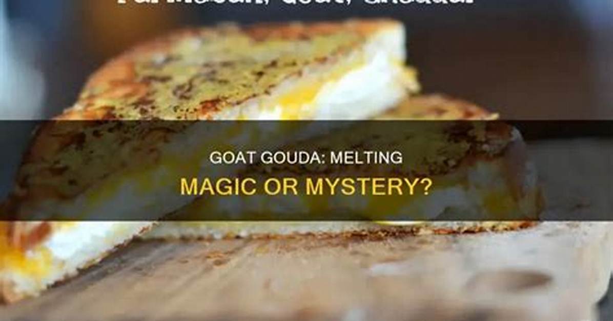 Does Gouda Melt