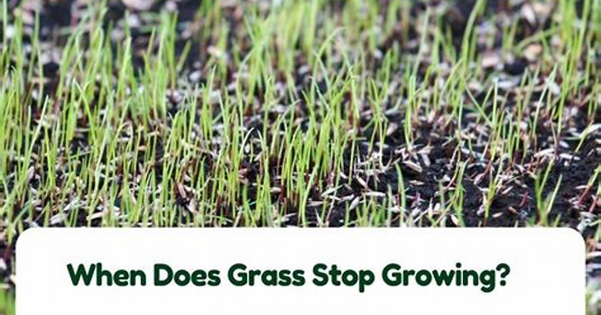 Does Grass Ever Stop Growing?