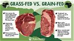 Does Grass Fed Mean Hay?