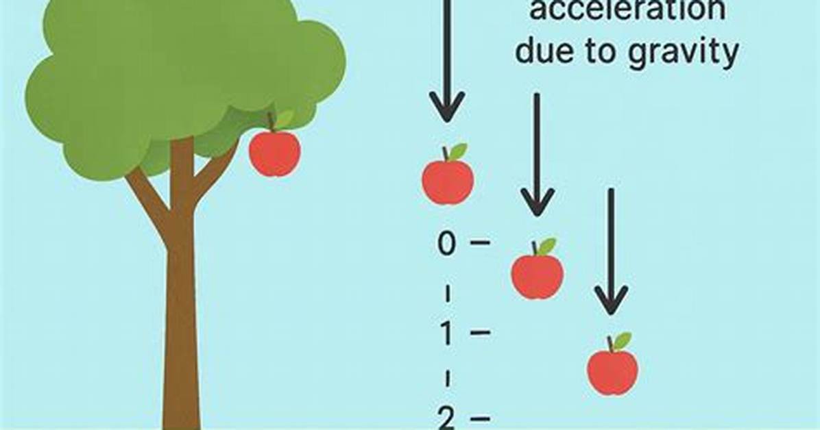 Does Gravity Affect Falling Objects?